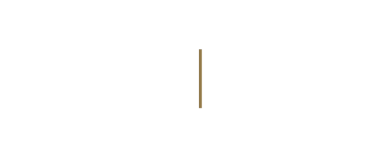 International Burch University