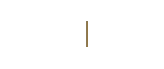 International Burch University
